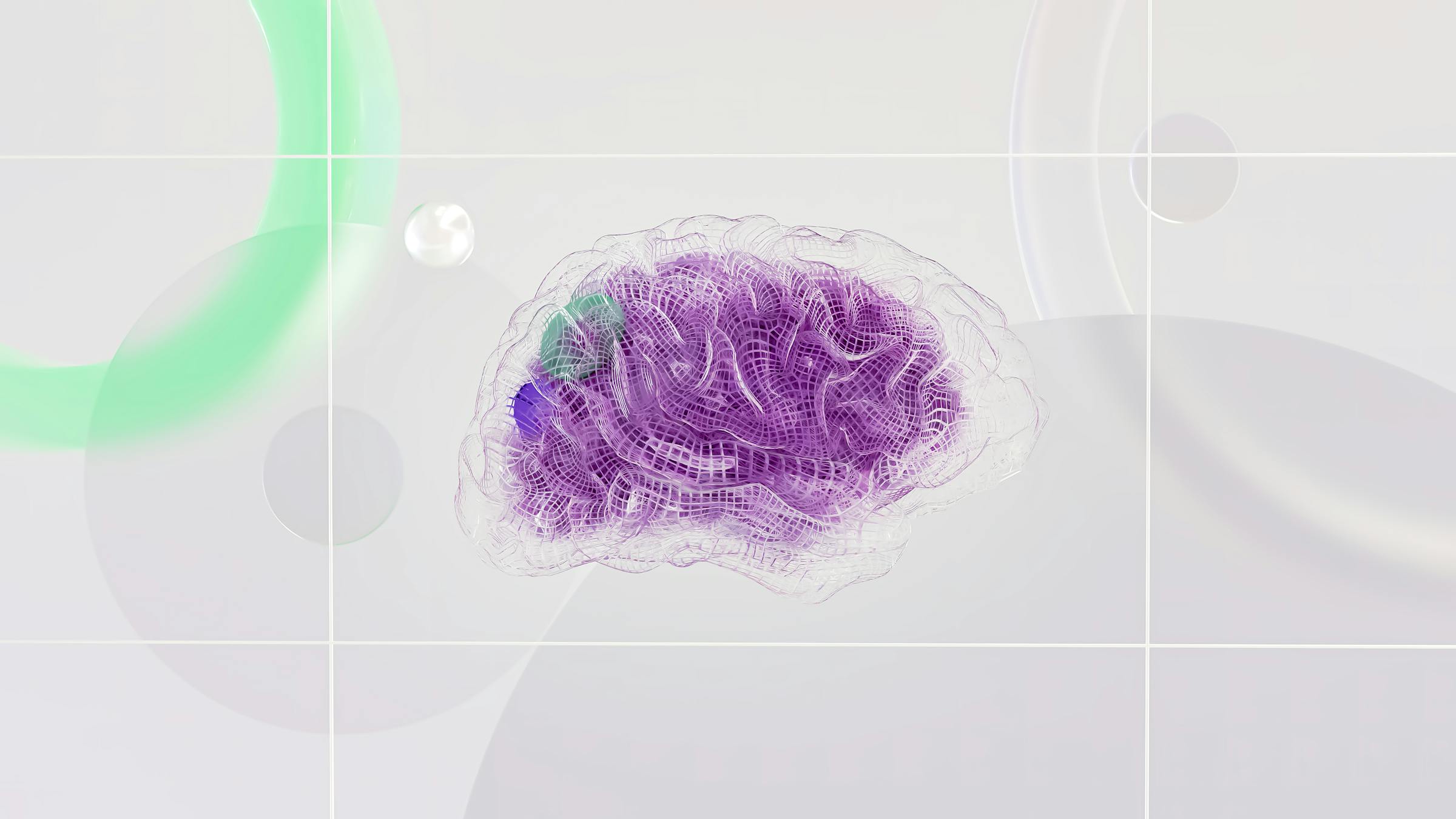 Visualisierte Gehirnstrukturen — moderne Neuropsychologie und Trauma